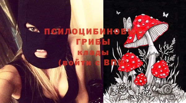 спиды Абаза